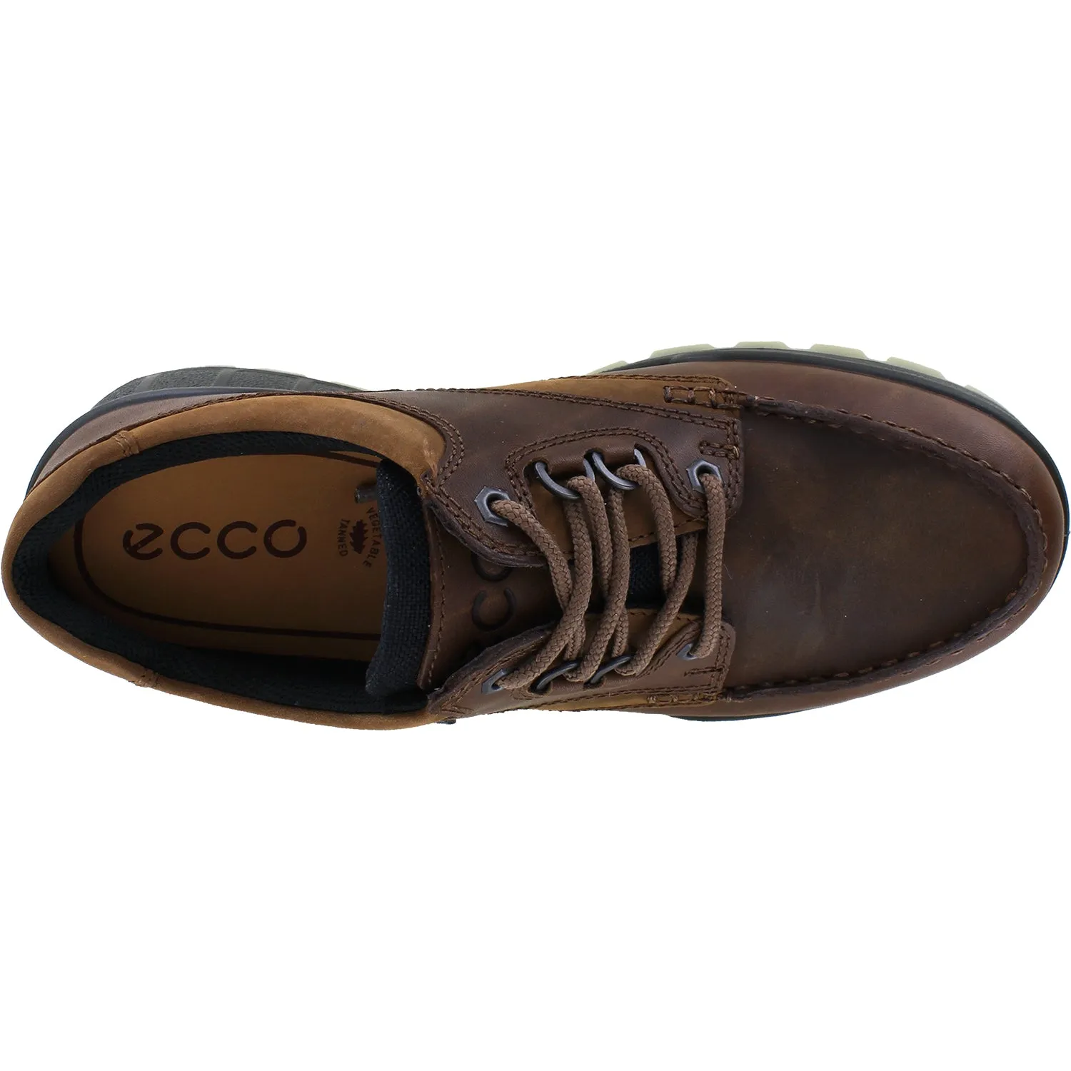 Men's Ecco Track 25 Low GTX Bison Leather/Nubuck