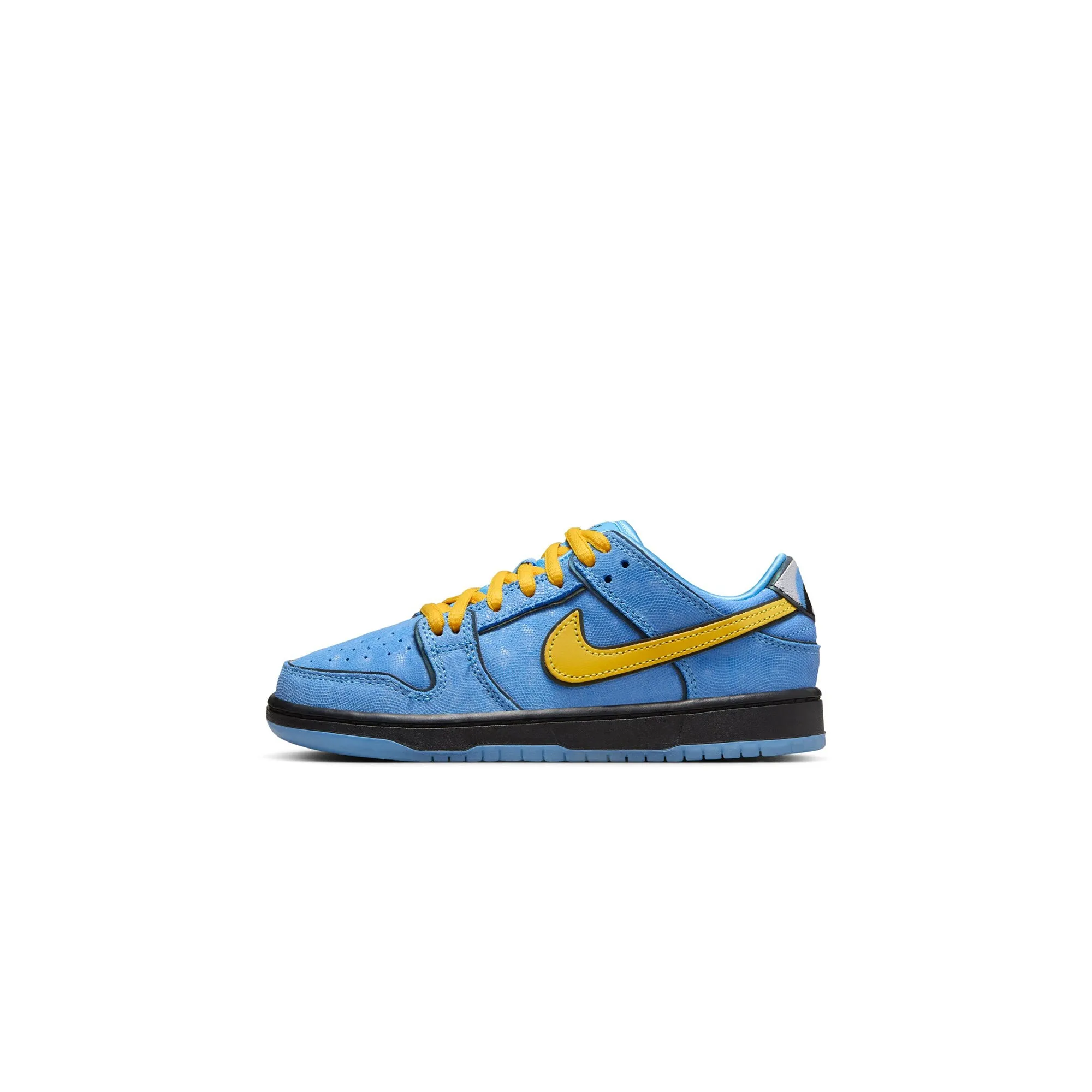 Nike SB Little Kids Dunk Low Pro Shoes