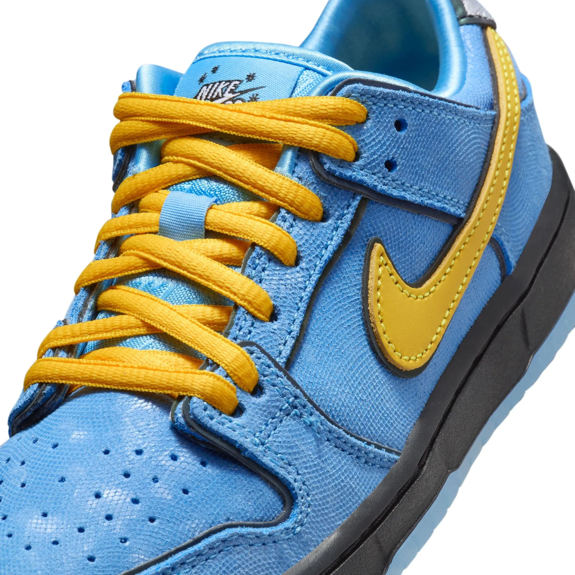 Nike SB Little Kids Dunk Low Pro Shoes