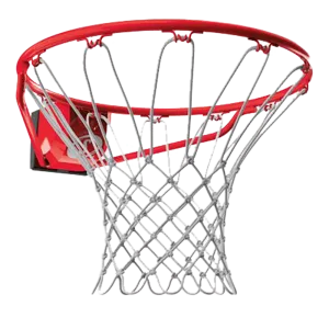 Pro Slam Basketball Rim