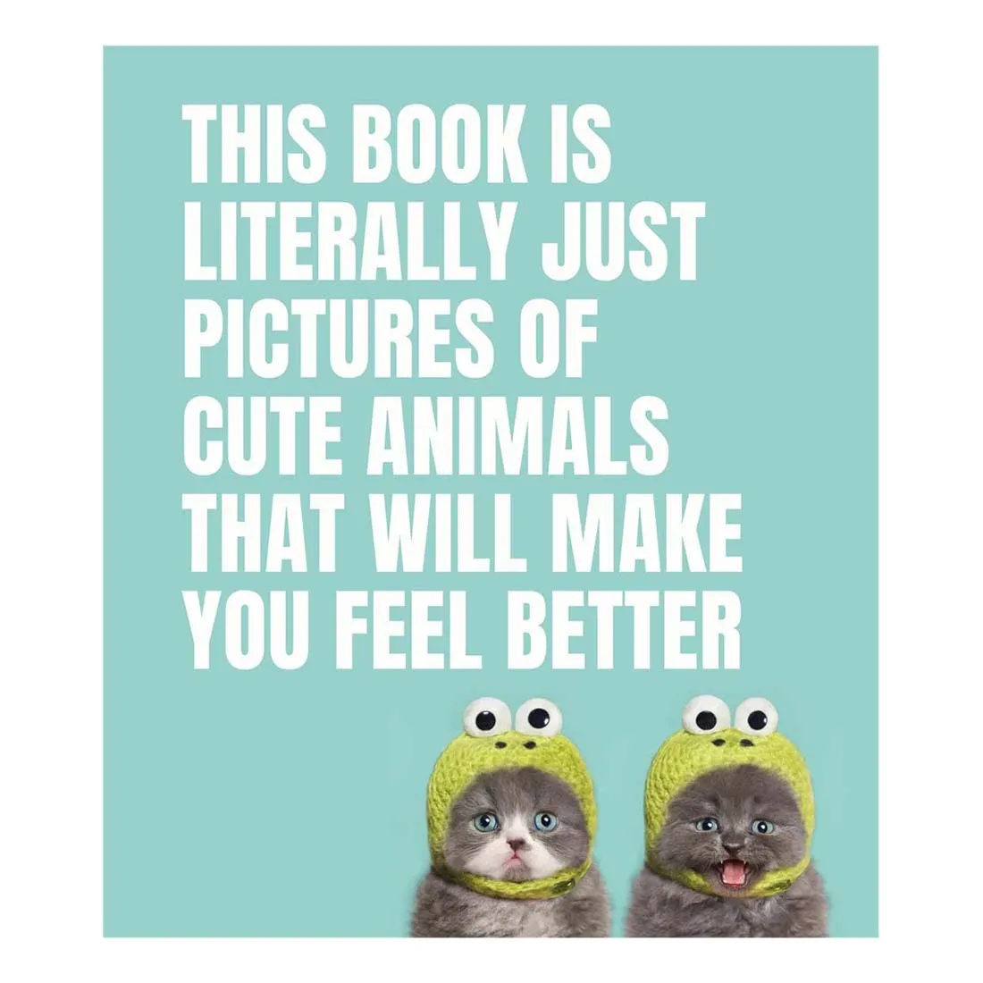 This Book Is Literally Just Pictures of Cute Animals That Will Make You Feel Better