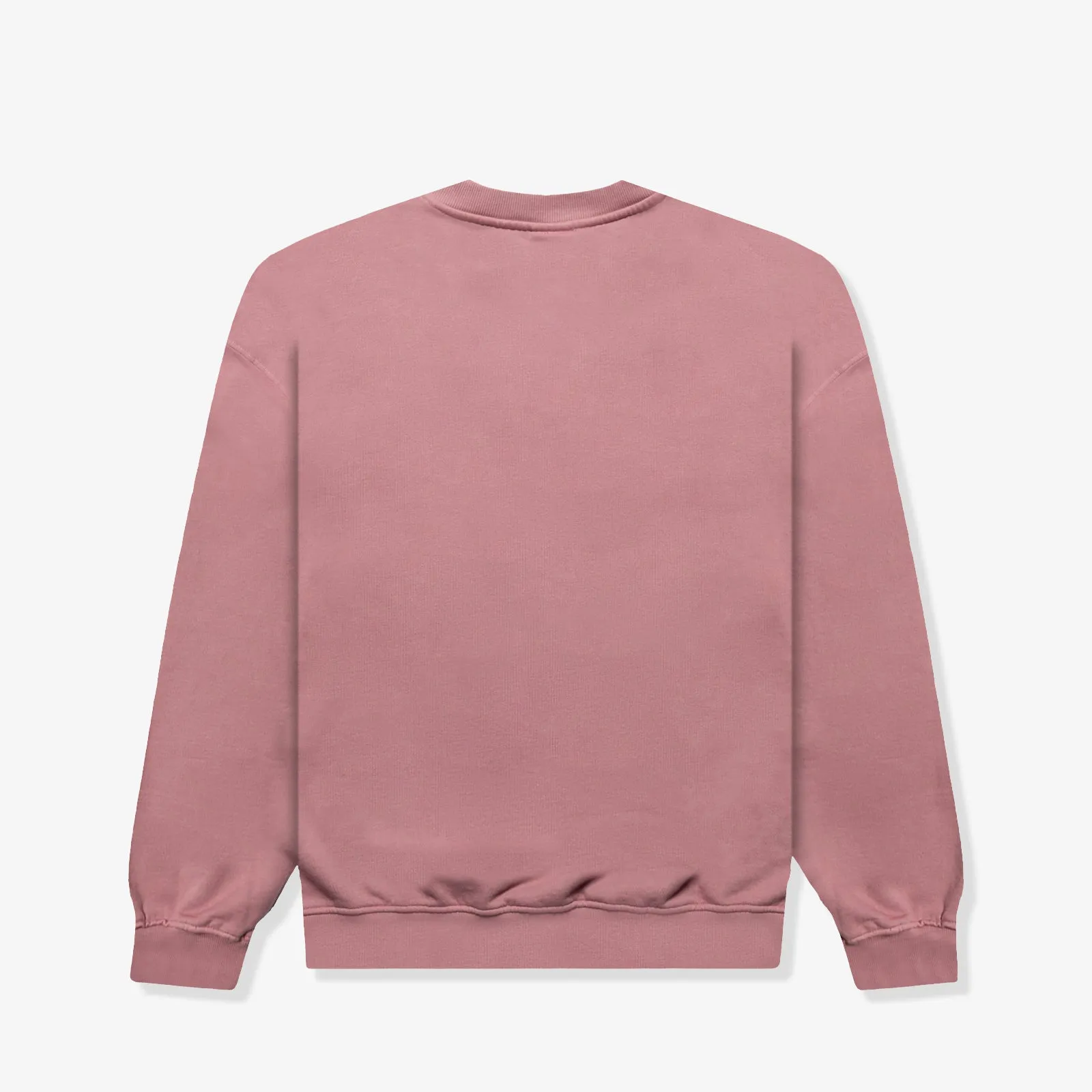 Winter Script '23 Oversized Crew - Washed Pink Foam